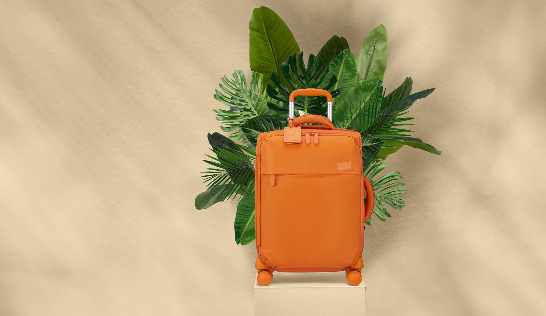 Summer sale